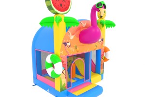 Combo Smart W&D Flamingo ©