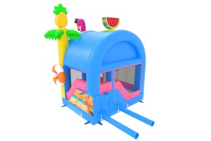 Combo Smart W&D Flamingo ©